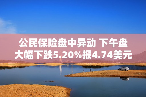 公民保险盘中异动 下午盘大幅下跌5.20%报4.74美元  第1张