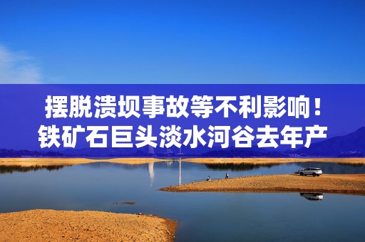 摆脱溃坝事故等不利影响！铁矿石巨头淡水河谷去年产量重回峰值  第1张