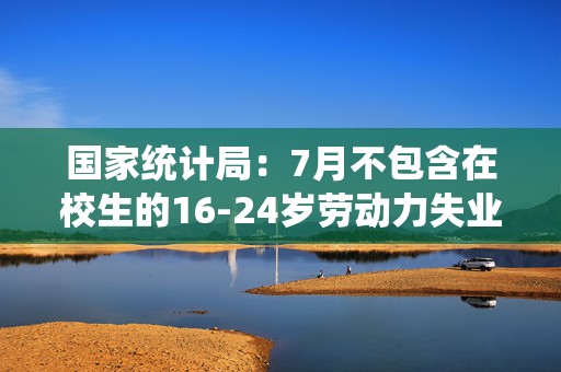 国家统计局：7月不包含在校生的16-24岁劳动力失业率为17.1%  第1张