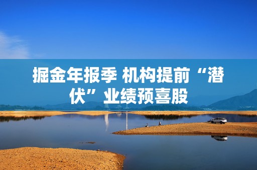 掘金年报季 机构提前“潜伏”业绩预喜股  第1张