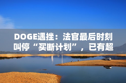 DOGE遇挫：法官最后时刻叫停“买断计划”，已有超6万美“公务员”接收“劝退”