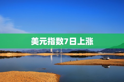美元指数7日上涨  第1张