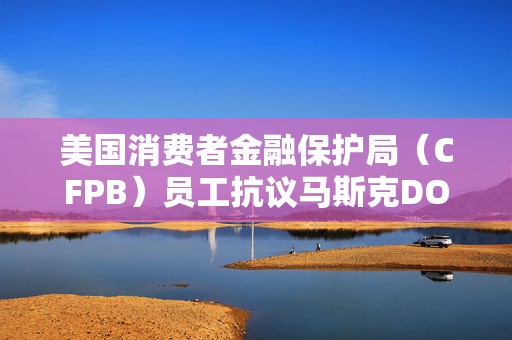美国消费者金融保护局（CFPB）员工抗议马斯克DOGE团队行动  第1张
