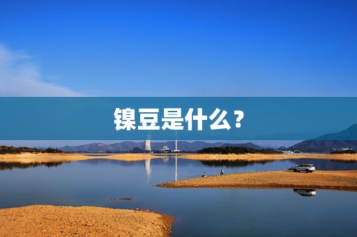 镍豆是什么？  第1张