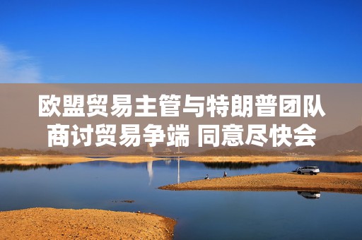 欧盟贸易主管与特朗普团队商讨贸易争端 同意尽快会面  第1张
