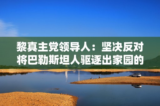 黎真主党领导人：坚决反对将巴勒斯坦人驱逐出家园的企图  第1张
