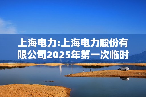 上海电力:上海电力股份有限公司2025年第一次临时股东大会会议资料