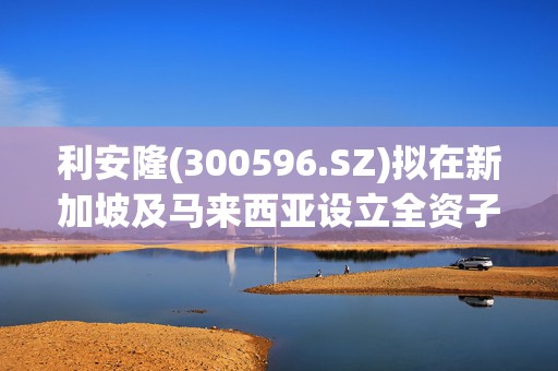 利安隆(300596.SZ)拟在新加坡及马来西亚设立全资子公司投建研发生产基地 总投资不超3亿美元