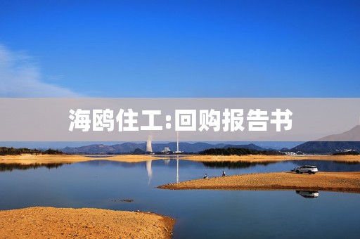 海鸥住工:回购报告书  第1张