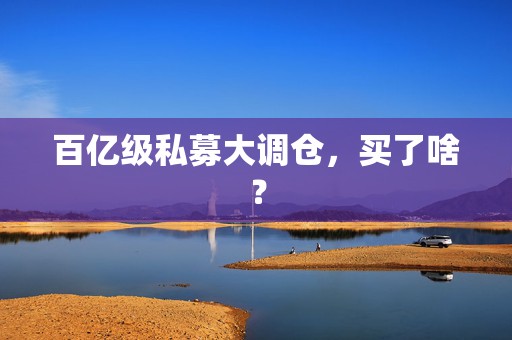 百亿级私募大调仓，买了啥？  第1张