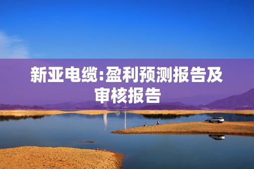 新亚电缆:盈利预测报告及审核报告