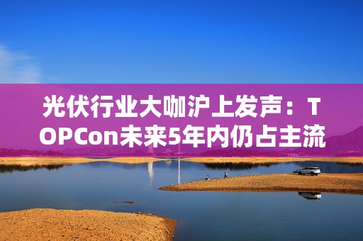光伏行业大咖沪上发声：TOPCon未来5年内仍占主流