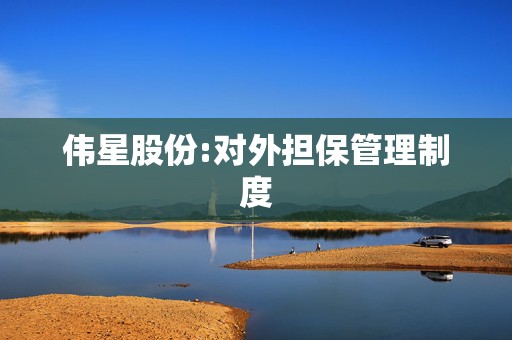 伟星股份:对外担保管理制度