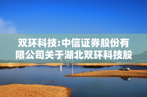 双环科技:中信证券股份有限公司关于湖北双环科技股份有限公司2023年度向特定对象发行A股股票之发行保荐书
