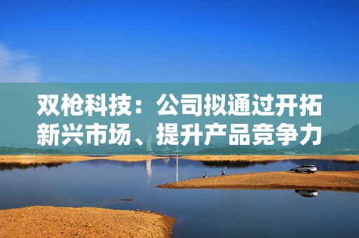 双枪科技：公司拟通过开拓新兴市场、提升产品竞争力和议价能力