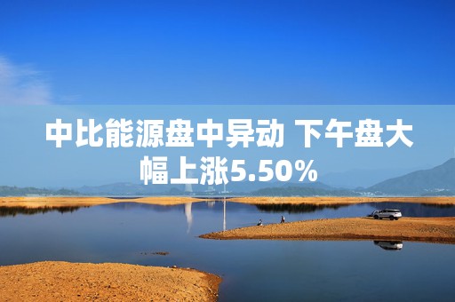 中比能源盘中异动 下午盘大幅上涨5.50%  第1张