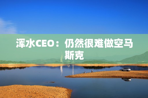 浑水CEO：仍然很难做空马斯克  第1张