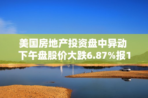 美国房地产投资盘中异动 下午盘股价大跌6.87%报16.01美元  第1张