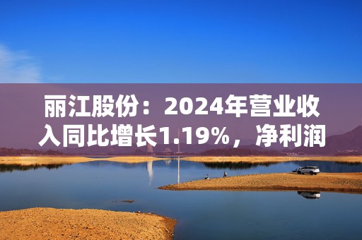 丽江股份：2024年营业收入同比增长1.19%，净利润同比减少7.27%