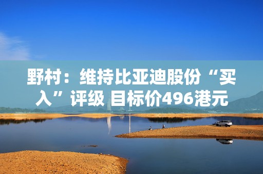 野村：维持比亚迪股份“买入”评级 目标价496港元  第1张