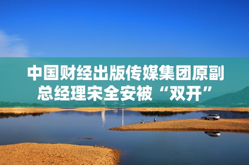中国财经出版传媒集团原副总经理宋全安被“双开”