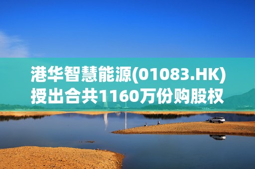 港华智慧能源(01083.HK)授出合共1160万份购股权  第1张