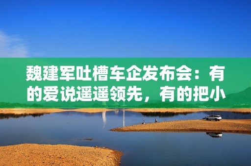 魏建军吐槽车企发布会：有的爱说遥遥领先，有的把小事说得很神秘  第1张