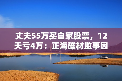 丈夫55万买自家股票，12天亏4万：正海磁材监事因短线交易被出具警示函  第1张