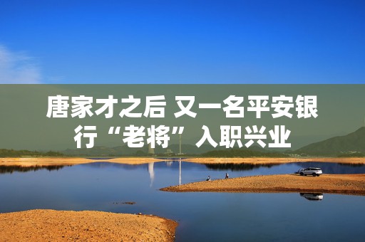 唐家才之后 又一名平安银行“老将”入职兴业  第1张
