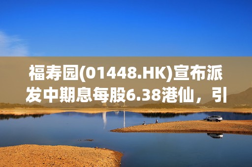 福寿园(01448.HK)宣布派发中期息每股6.38港仙，引领数字化殡葬的持续迭代，赋能全产业链增长  第1张
