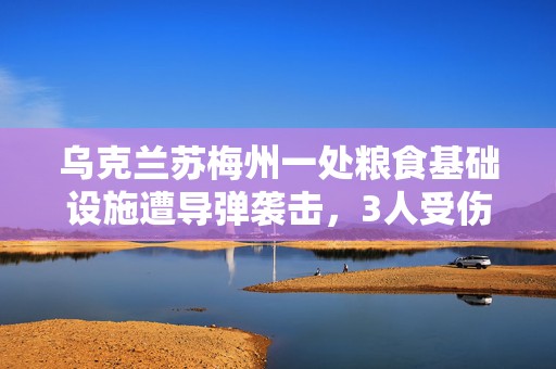 乌克兰苏梅州一处粮食基础设施遭导弹袭击，3人受伤  第1张