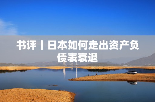 书评丨日本如何走出资产负债表衰退  第1张