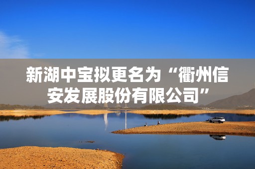 新湖中宝拟更名为“衢州信安发展股份有限公司”  第1张