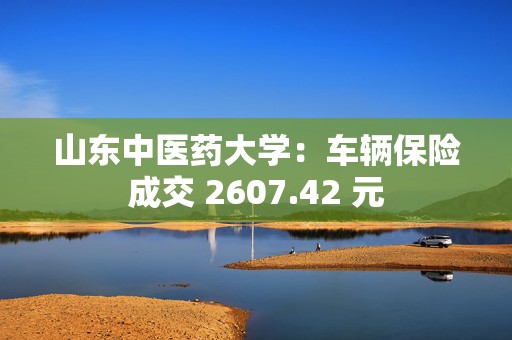 山东中医药大学：车辆保险成交 2607.42 元  第1张