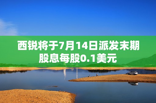 西锐将于7月14日派发末期股息每股0.1美元