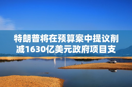 特朗普将在预算案中提议削减1630亿美元政府项目支出