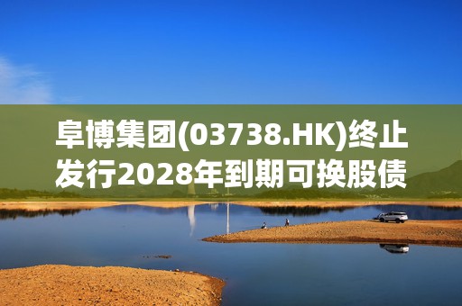 阜博集团(03738.HK)终止发行2028年到期可换股债券