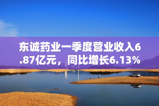 东诚药业一季度营业收入6.87亿元，同比增长6.13%