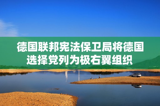 德国联邦宪法保卫局将德国选择党列为极右翼组织