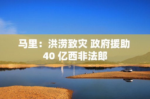 马里：洪涝致灾 政府援助 40 亿西非法郎