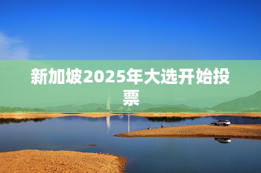 新加坡2025年大选开始投票