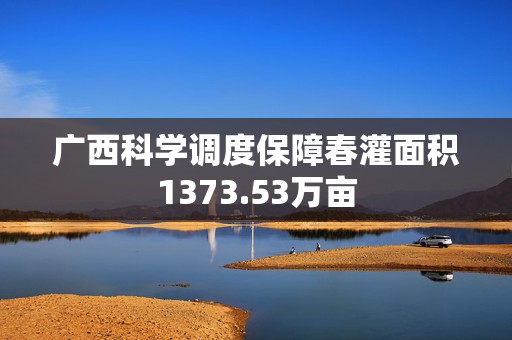 广西科学调度保障春灌面积1373.53万亩