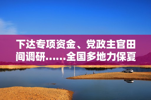 下达专项资金、党政主官田间调研……全国多地力保夏粮稳收