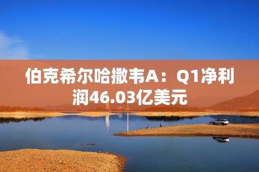 伯克希尔哈撒韦A：Q1净利润46.03亿美元