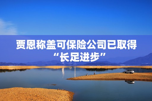 贾恩称盖可保险公司已取得 “长足进步”