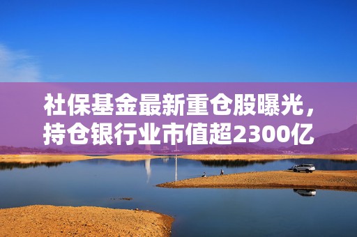 社保基金最新重仓股曝光，持仓银行业市值超2300亿元