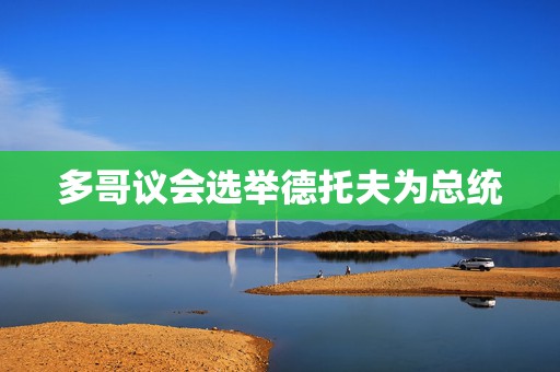 多哥议会选举德托夫为总统