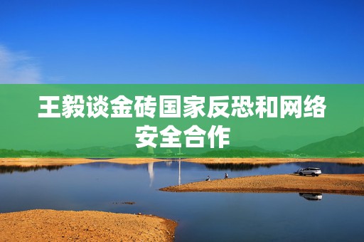 王毅谈金砖国家反恐和网络安全合作  第1张