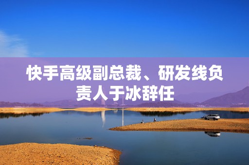 快手高级副总裁、研发线负责人于冰辞任