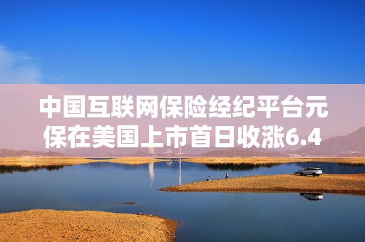 中国互联网保险经纪平台元保在美国上市首日收涨6.4%